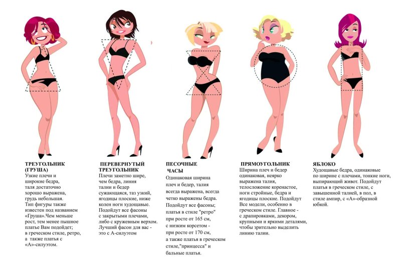Тип фигур у женщин