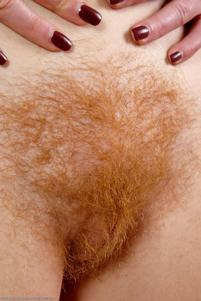 Цветные лобковые волосы