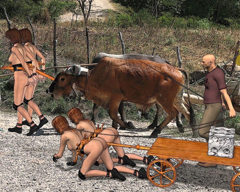 Бдсм голые рабыни на ферме