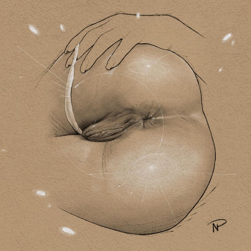 Эротическая белье