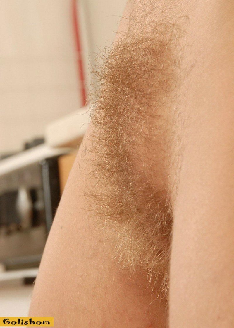 Волос на лобке