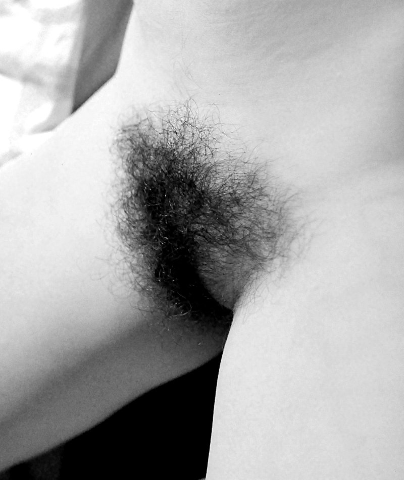 Светлые лобковые волосы