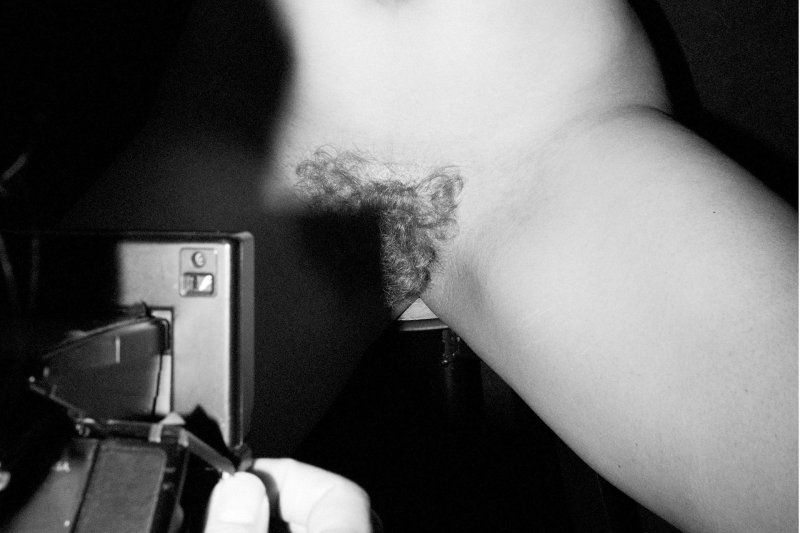 Лобковые волосы