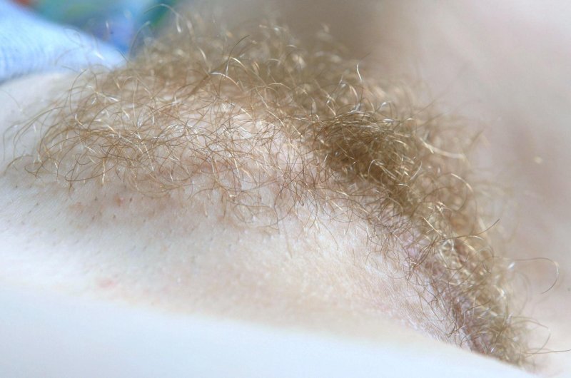 Длинные лобковые волосы