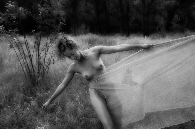 Римантас дихавичюс