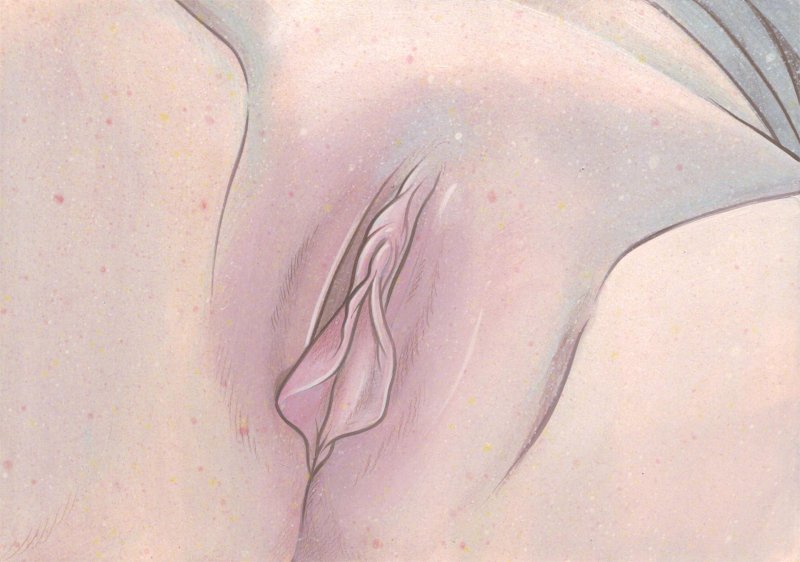 Вагина рисунок