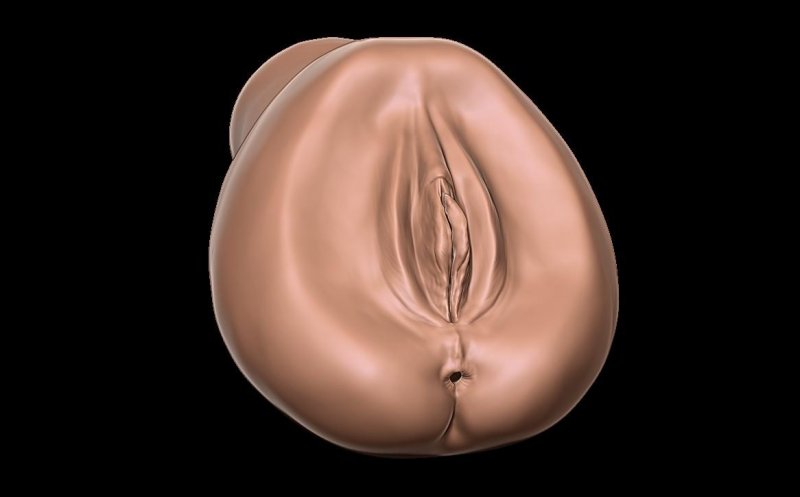 Вагина женщин