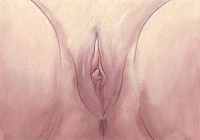 Акварельная иллюстрация