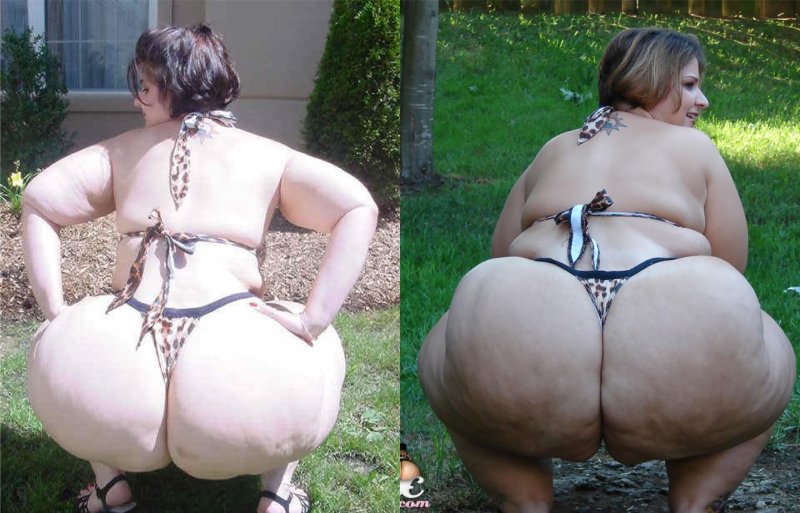 Жопа жирная