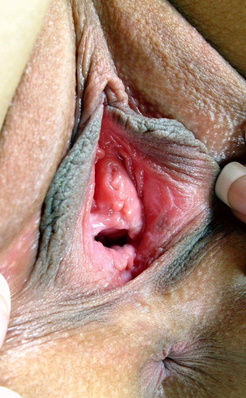 Женские киски крупным планом