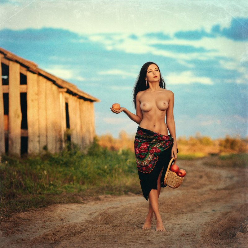 Давид дубницкий