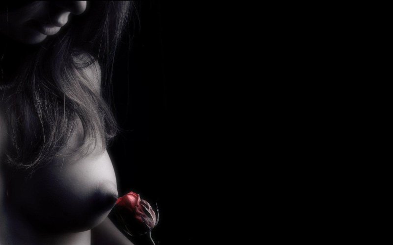 Эротические обои на рабочий стол