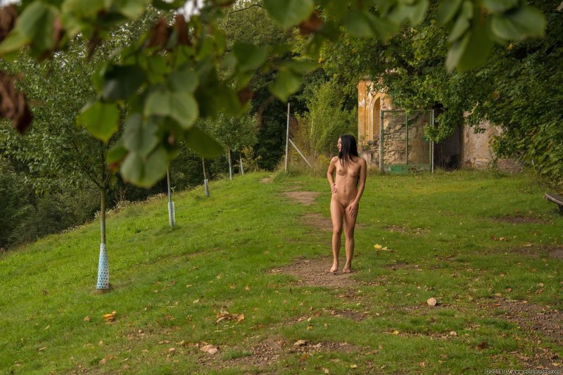 Прогулка голышом по лесу