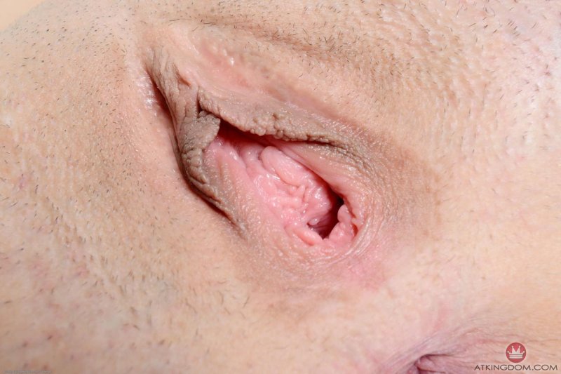 Половые губы порно