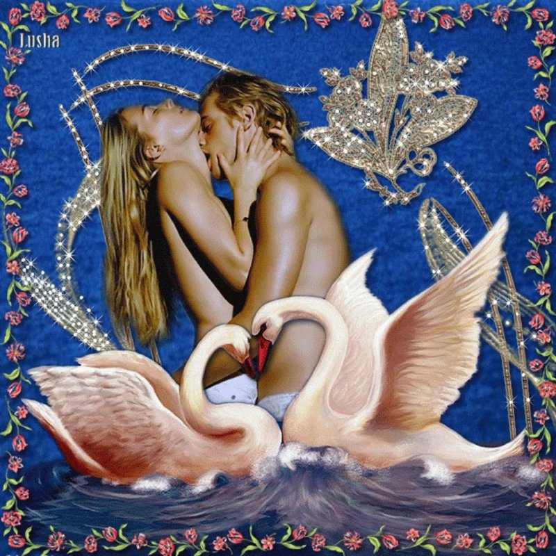 Любовь и лебеди