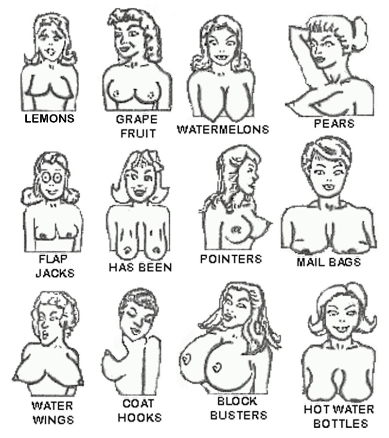 Классификация женских сисек