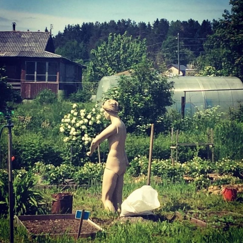 Голышом на даче
