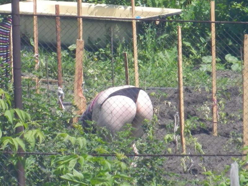 Раком в огороде