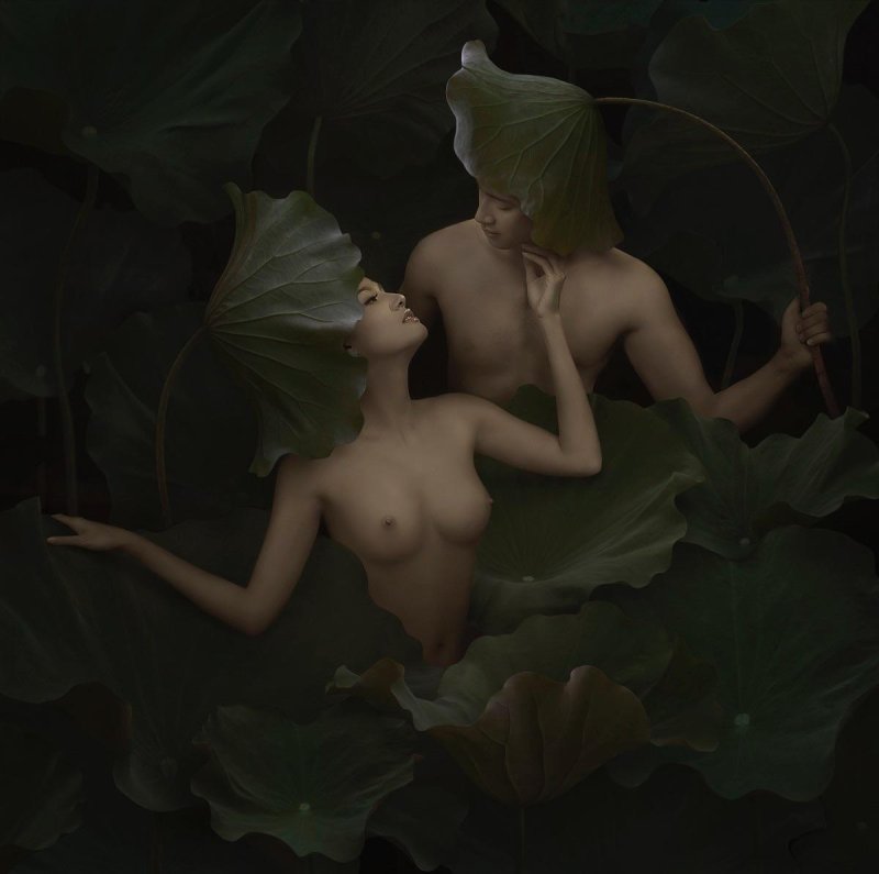 Дуонг куок динь duong quoc dinh фотограф лотос