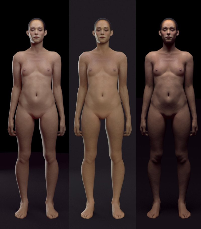 Голое женское тело анатомия