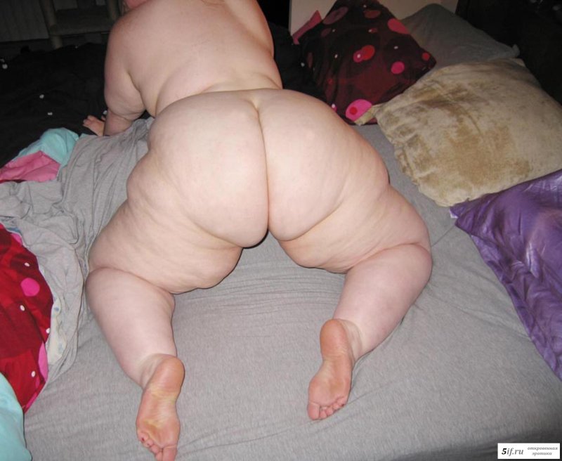 Порно жирная жопа