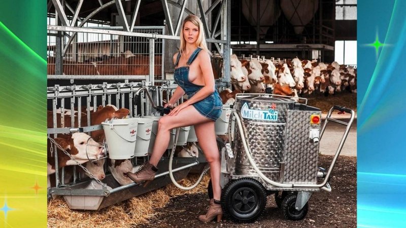 Девушка с фермы