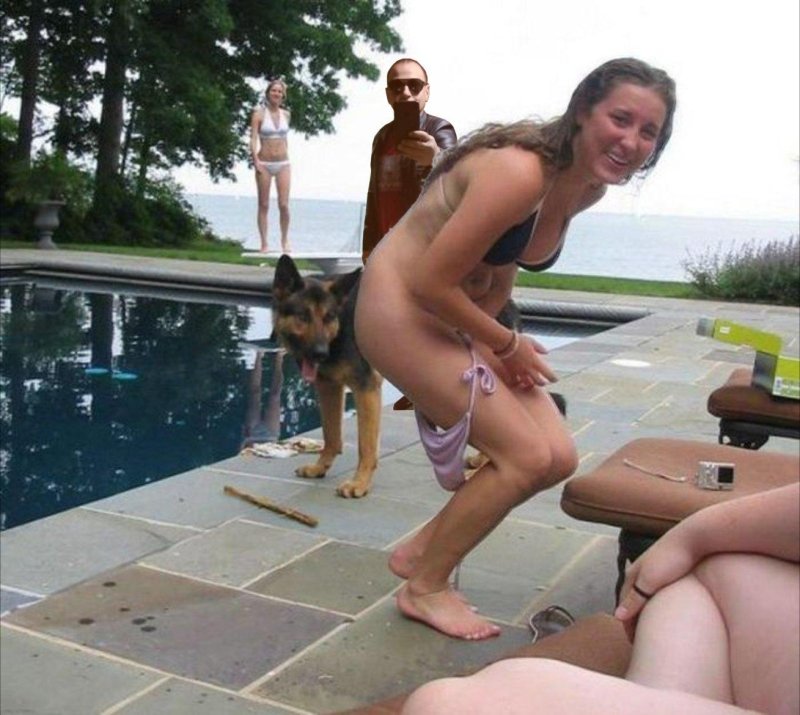 Собака немецкая овчарка