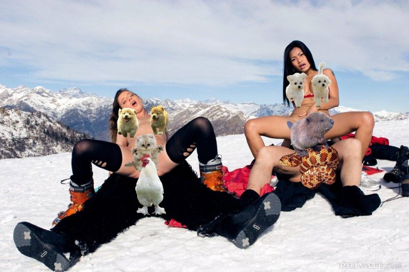 Девушка на сноуборде