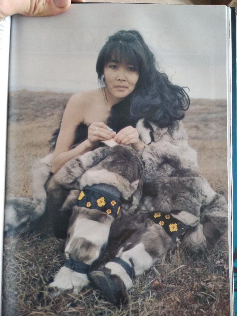 Жизнь эскимосов