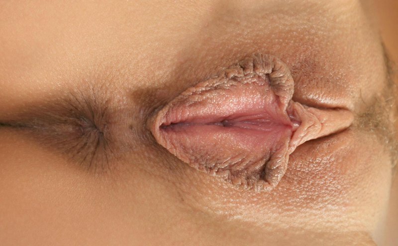 Пухленькие половые губки