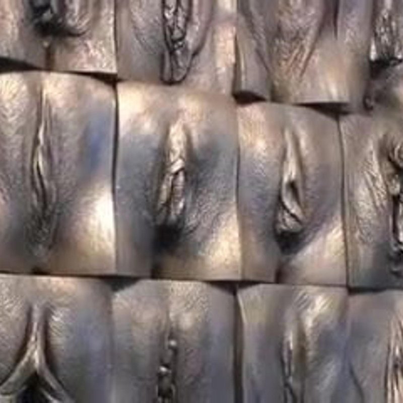 Стена вагин Джейми Маккартни