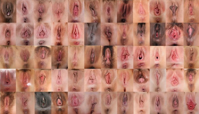 Формы женских влагалищ