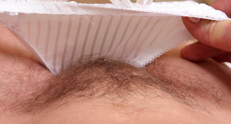 Волосатый лобок в трусиках