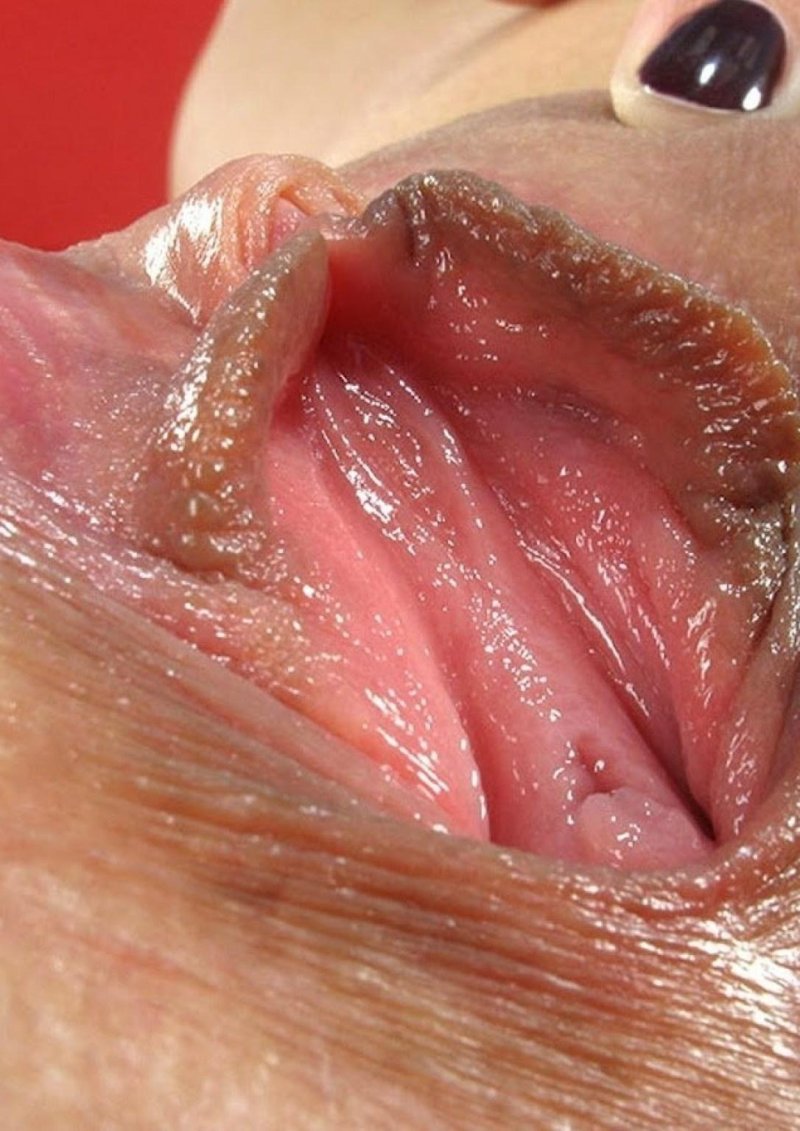 Женская киска Макросъемка