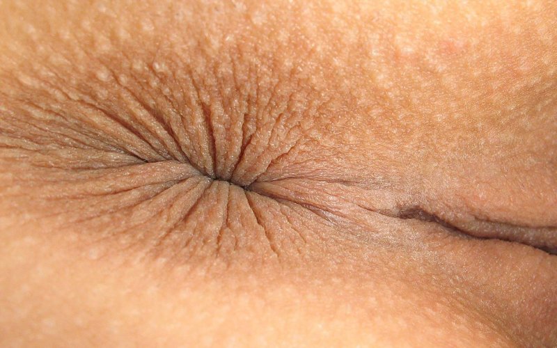 Голые попы крупным планом