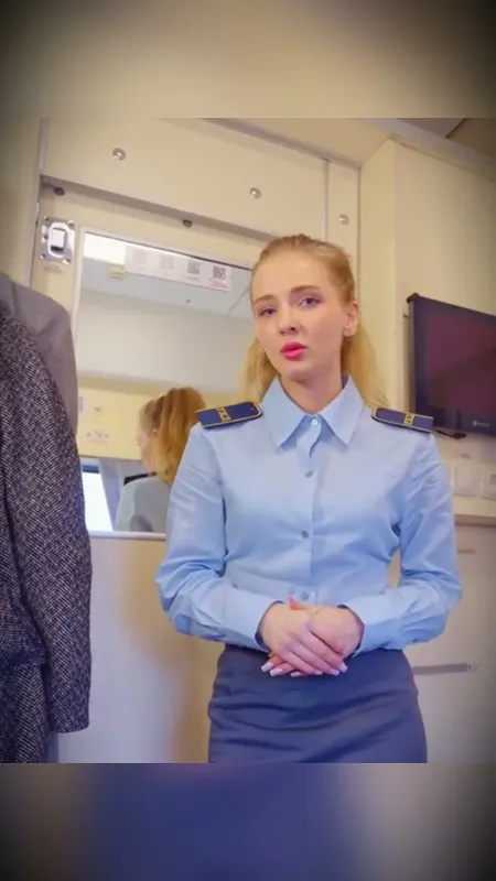 Сексуальная проводница